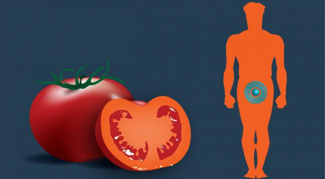 pomodori-cancro-prostata