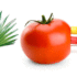 Pomodoro-cibo-utile-prostata